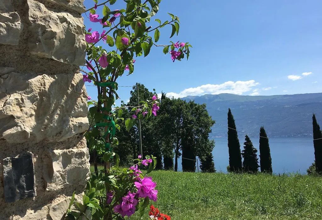 Agriturismo Casa del Castagneto-1